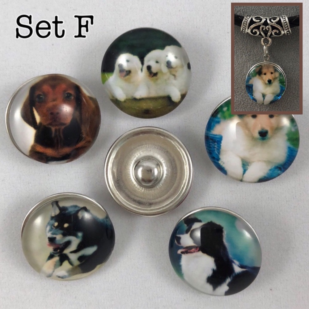Interchangeable Pup Ginger Snaps - Set F